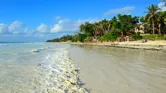 Beautiful tropical coast of Diani in Kenya